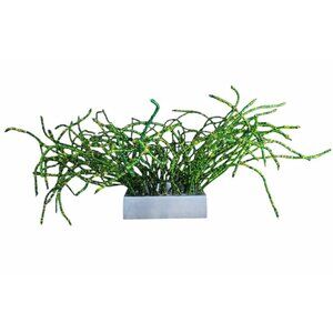 Michael Aram Green Beaded Grass Foliage Tealight Candle Holder